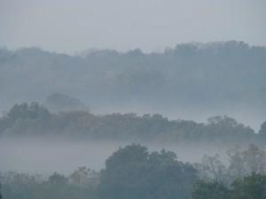Valley Mist 2